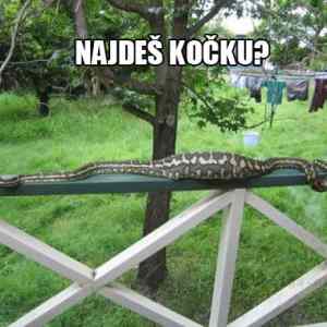 Obrázek 'najdes-kocku'