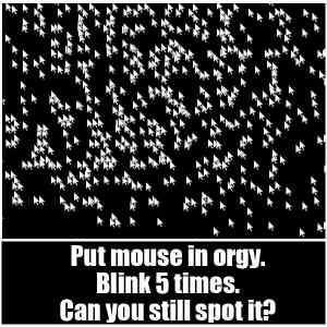 Obrázek 'najdi mys po peti vterinach'