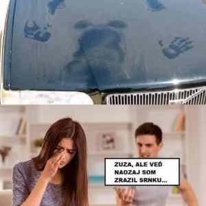 Obrázek 'narazil&nbsp;srnu'