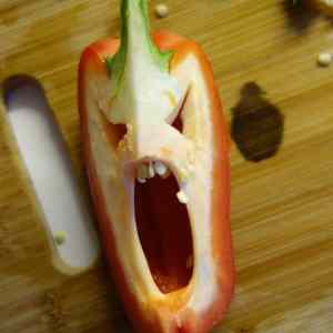 Obrázek 'nastvana paprika'