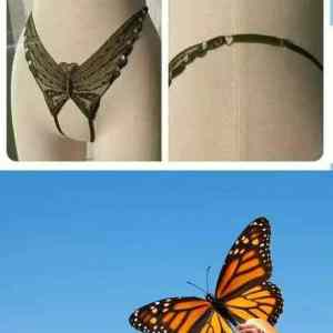 Obrázek 'nature&nbsp;pyco'