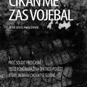 Obrázek 'navrh raumona tyce'
