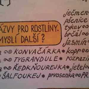 Obrázek 'nazvy rostlin -- '