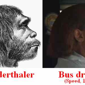 Obrázek 'neanderthaler'