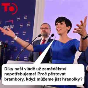 Obrázek 'nebetycna pica'
