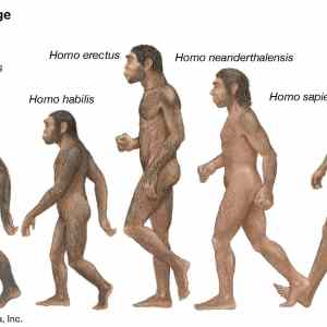 Obrázek 'nebud homo fob'