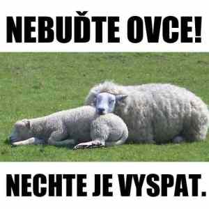 Obrázek 'nebud&nbsp;ofce'