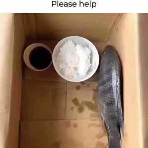 Obrázek 'nechce&nbsp;zat&nbsp;potvora'