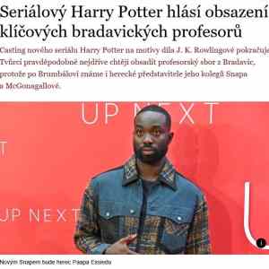 Obrázek 'neegrflix'