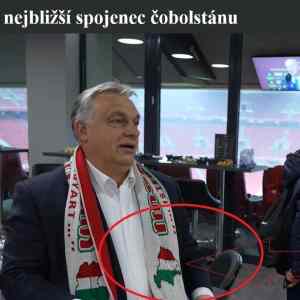 Obrázek 'nejblizsi spojenec cobolu'