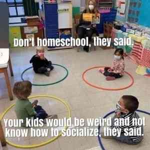 Obrázek 'nejsilnejsi argument proti homeschoolingu byl ze to z deti udela asocialy'