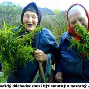 Obrázek 'nenasrani duchodci'