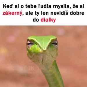 Obrázek 'neni zakerny'