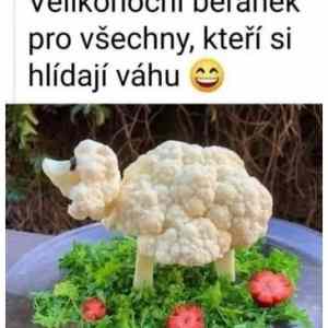Obrázek 'nepeceny velikonocni beranek'