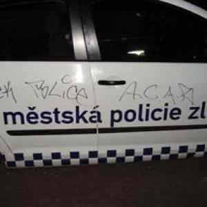 Obrázek 'nepovedeny zasah Zlinsky pes'