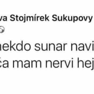 Obrázek 'nervy&nbsp;more'