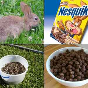 Obrázek 'nesquik pravda odhalena'
