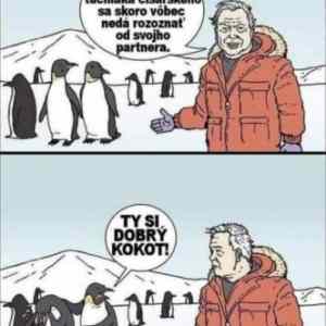 Obrázek 'netaktni kokot'