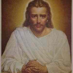 Obrázek 'netchesus'