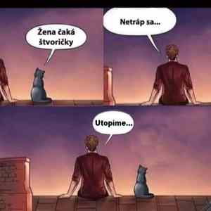 Obrázek 'netrap sa - fixed'