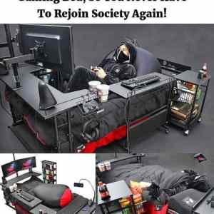 Obrázek 'never have to rejoin society again'