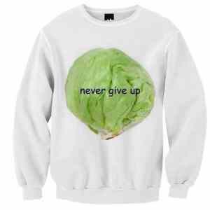 Obrázek 'nevergiveup'