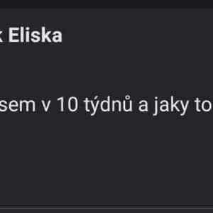 Obrázek 'nevim&nbsp;dal1'