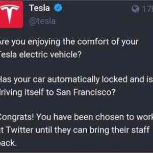 Obrázek 'new Tesla policy'