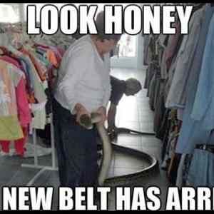 Obrázek 'new belt'
