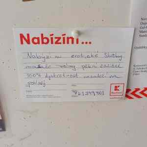 Obrázek 'nezalezy na pohlavy'
