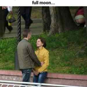 Obrázek 'nice romantic eveng under the full moon'