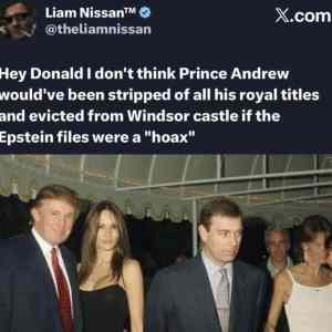 Obrázek 'nice try dolan'