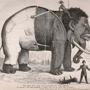 Obrázek 'nigger elephant'