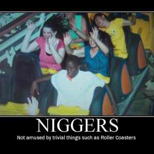 Obrázek 'niggers roller'