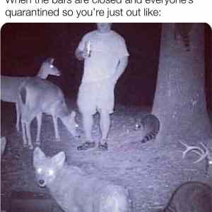 Obrázek 'night out'