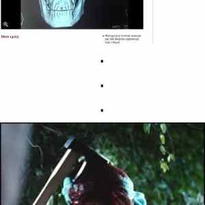 Obrázek 'no&nbsp;problema&nbsp;&nbsp;&nbsp;&nbsp;'