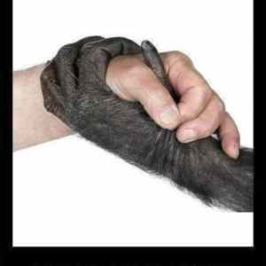 Obrázek 'no racism'