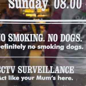 Obrázek 'no smoking - no dogs'