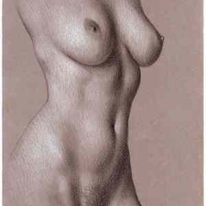 Obrázek 'noa&nbsp;telo'