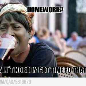 Obrázek 'nobody got time for that'