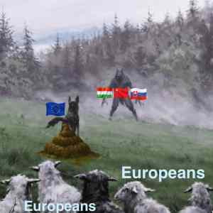 Obrázek 'nojo superfixed'