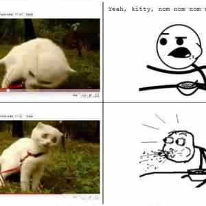 Obrázek 'nom&nbsp;nom&nbsp;kitty'
