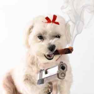 Obrázek 'normal&nbsp;mazlik'