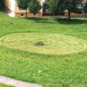 Obrázek 'novy fenomen - kruh v trave'