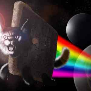 Obrázek 'nyan cat'