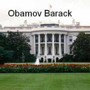 Obrázek 'obamovbarack'