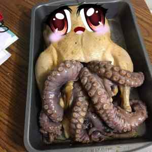 Obrázek 'octopussy'