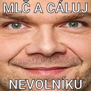 Obrázek 'ods pripravuje zdaneni internetu'
