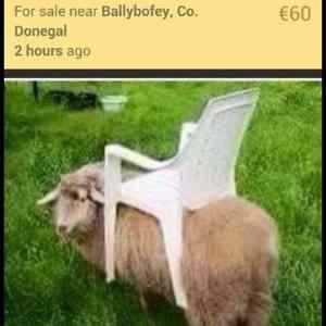 Obrázek 'only&nbsp;on&nbsp;slovakia'