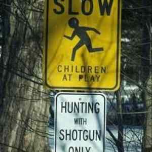 Obrázek 'only&nbsp;shootgun'